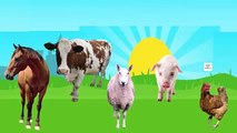 Finger Family Farm Animals Rhymes | Cow Horse Chiken Pig Sheep | Finger Family Songs For C