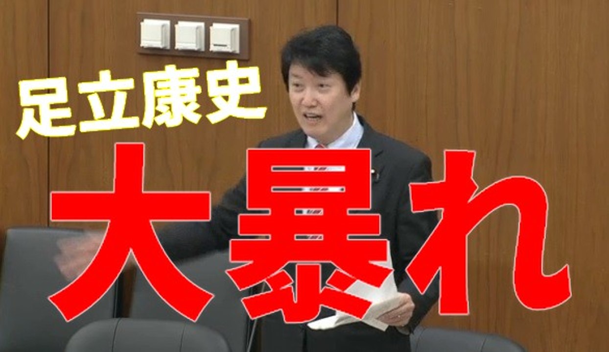 蓮舫の２重国籍問題　足立康史（日本維新の会） 国会中継 衆議院 総務委員会 平成29年3月7日