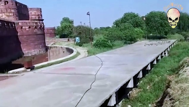 Flying ghost hunting pigeon real live footage!!! Rare footage