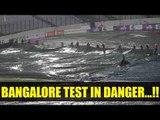 India vs Australia: Bangalore Test may face rain horror, MET Dept predicts rainfall | Oneindia News