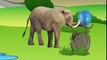 Dinosaurs Vs Elephant Cartoons For Children - Funny Animals Cartoons For Kids - Monkey For Kids [SD, 854x480]