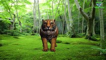 Learning Animal Sounds Tiger ,Lion & Gorilla English Nursery Rhyme