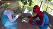 Venom Spiderman vs elsa No smoking in the public Pink Spidergirl fun superheroes in real life-fi