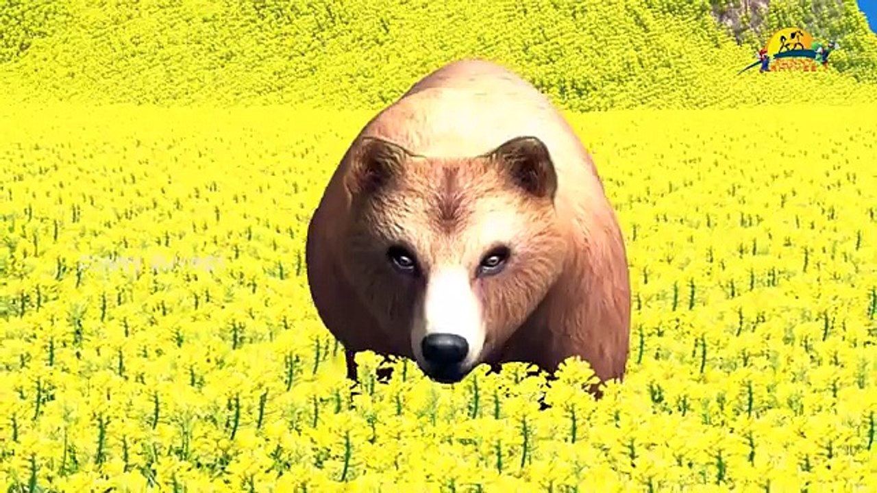 Bear V/S Dragon Finger Family 3d Nursery Top Popular animated children English rhymes