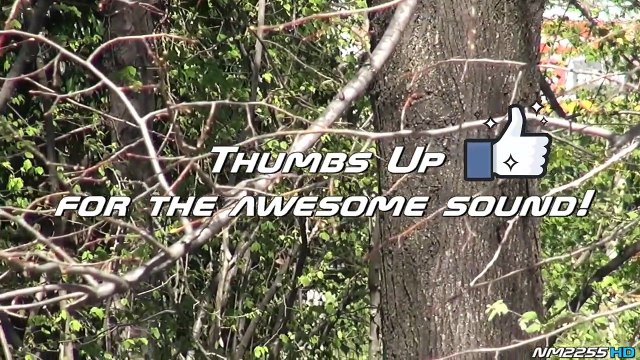 Ferrari FXX K PURE Sound @ Fiorano Ci