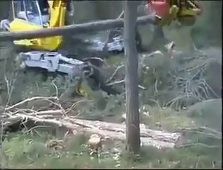 World most Amazing Videos -  Amazing tree cutting machine