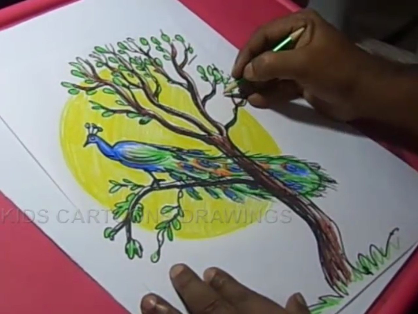 How to Draw Peacock with tree Color Drawing for kids - video ...