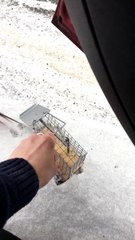 Une souris pas très chanceuse! FAIL