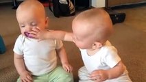 Twin Baby Girls Fight Over Pacifier