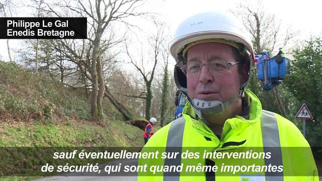 Tempête en Bretagne: chutes d'arbres et coupures d'électricité