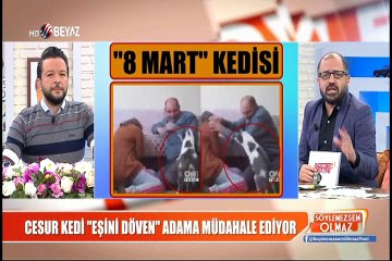 Cesur kedi "Eşini döven" adama müdahale ediyor