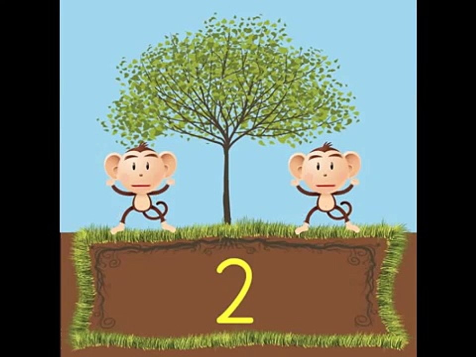 Counting DVD