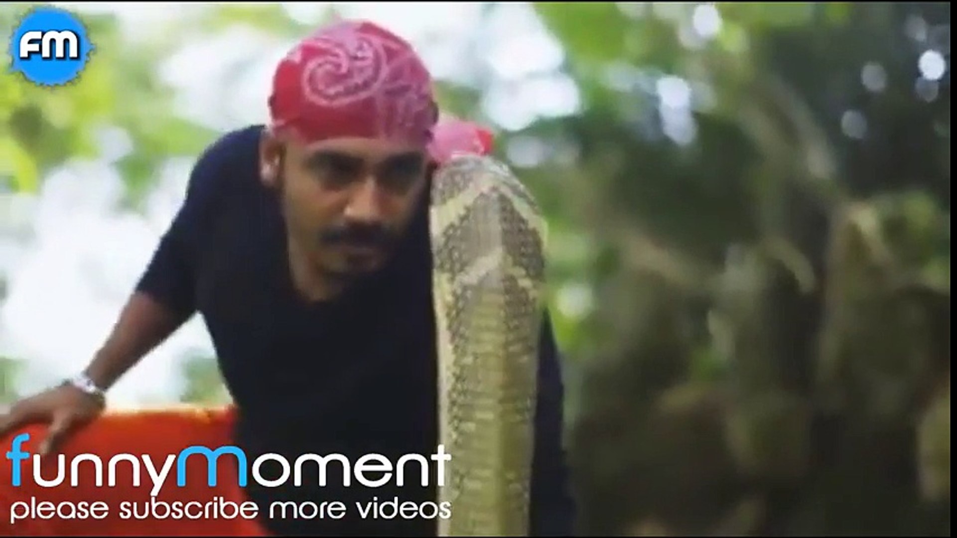 ameazing snake kiss new video 2017 HD FUNNY VIDEOS