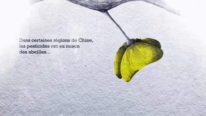 Plan apiculture durable vu par Alan Harnois