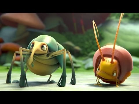 SWEET COCOON : le court métrage recommandé des Oscars 2015