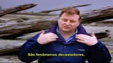 Sem título