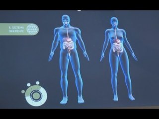 Napoli - Corporea, il museo interattivo del corpo umano (06.03.17)