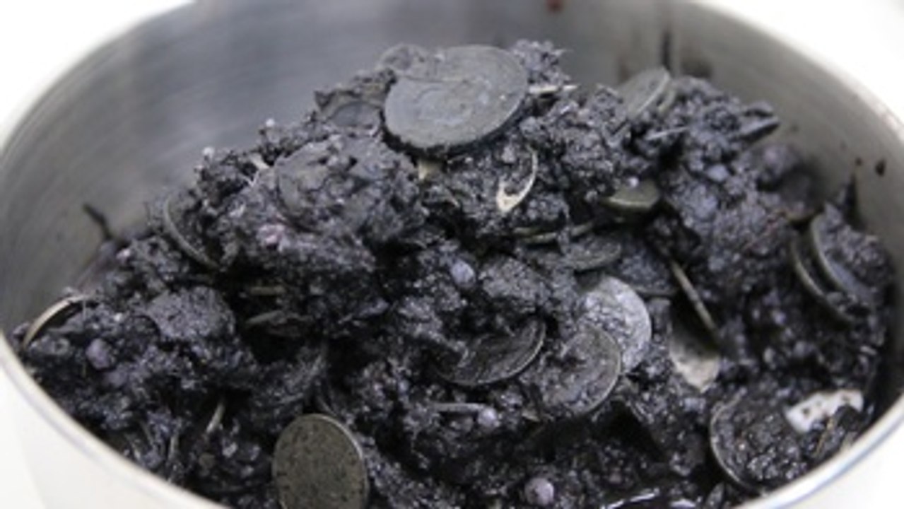 Encuentran más de 5 kilos de monedas en una tortuga en Tailandia