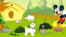 Bingo Dog Song - Nursery Rhyme With Lyrics | Cartoon Animation for Children