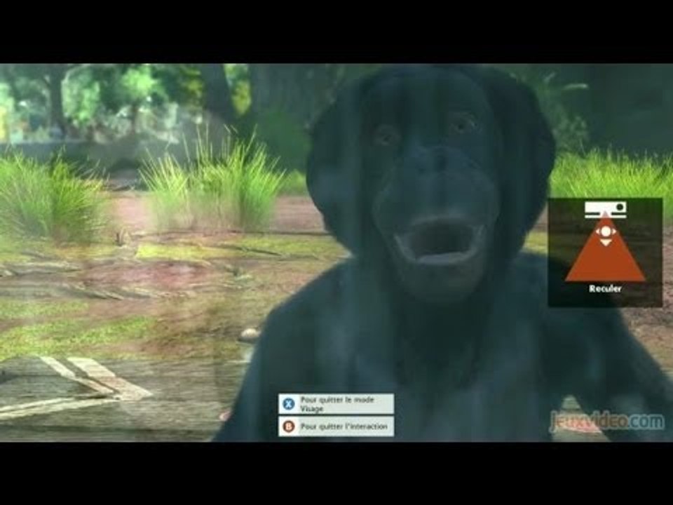 Gaming live Zoo Tycoon - Zoo Tycoon X Kinectimals (ONE)