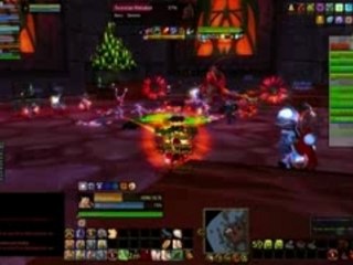 Terrestian vs Warner Guild on Krasus Server 🌍