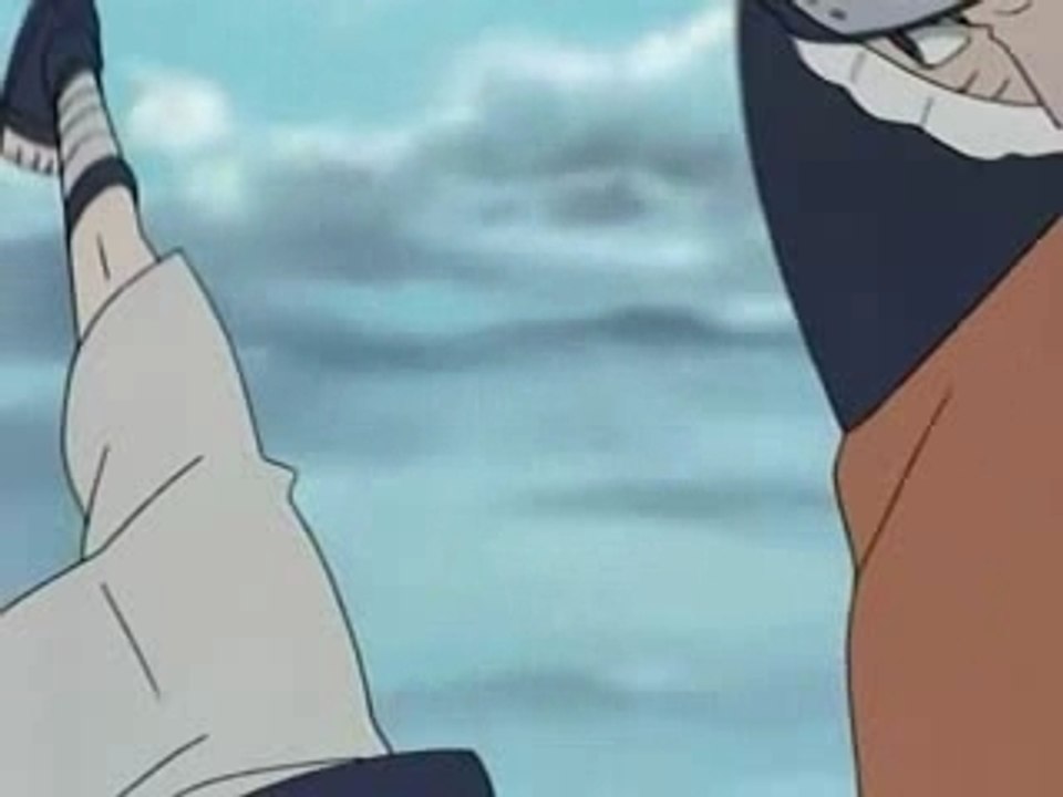 Naruto the animal