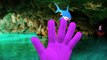 Супергерои Человек Паук Халк Против Животных Акулы, Гориллы Кинг-Конг Динозавров Finger Семья Нурс