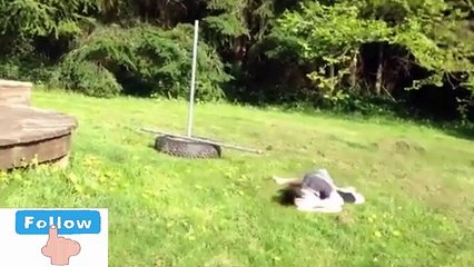 Funny Videos Of Kids - Funny Baby Fails 2017