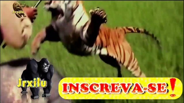Incríveis Ataques de animais selvagens #104, Batalha de animais selvagens, Batalha animal, curiosidade animal, Animais