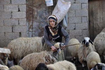 Böyle Fedakarlık Görülmedi