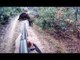 HUNTING for WILD BOAR! Real Hunter's life! Real moments wild boar hunting!