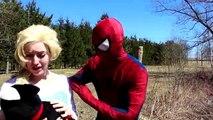 Spiderman & Frozen Elsa get a PINOCCHIO NOSE! w/ Pink Spidergirl, Maleficent, Anna & Giant