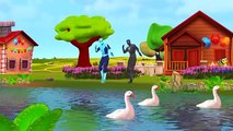 La grasa de spiderman en 3d de dibujos animados de animación Dedo de la familia de la canción de Spiderman canciones infantiles para niños