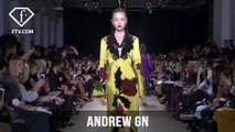 Paris Fashion Week Fall/Winter 2017-18 - Andrew GN | FTV.com