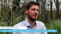 Guillaume Barranco, directeur de la fédération de la pêche des Pyrénées-Atlantiques