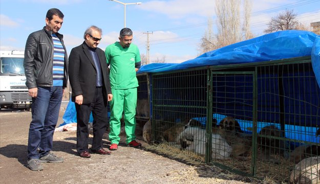 HACILAR BELEDİYESİ SOKAK HAYVANLARINA SAHİP ÇIKIYOR
