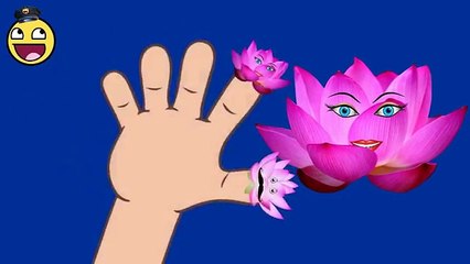 Finger Song | Rugby Ball Finger Family Cartoons | Funny 2D Videos