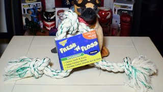 Dog dental floss, REALLY? - Dog Toy Reviews
