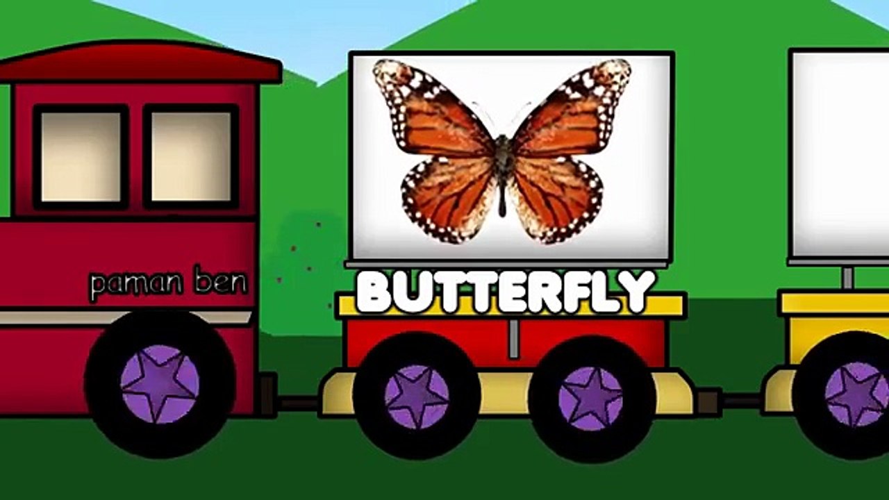 Insects Train Fun Learning Insects and Bug Names, Educational Cartoons for Children