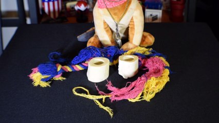 How DANGEROUS is this rope toy? - Dog Toy Reviews