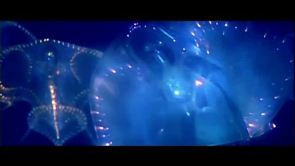 Sweet Aliens - Sam Azulys