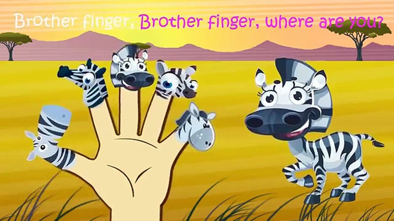 Zebra Finger Family Nursery Rhymes Lyrics - video Dailymotion