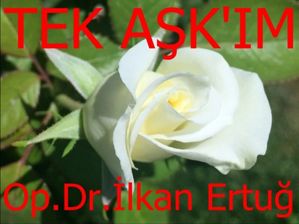 Ayşe Taş-Bir Beyaz Gülüm Vardı