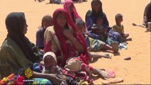 Violence in Niger displaces Malian refugees