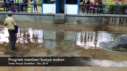 Malaysian ecologist survives being attacked by crocodile _2017