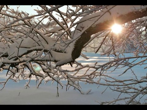 Location Vacances à la Montagne particulier à particulier Appartement Chalet Alpes Pyrénées Vosges Jura