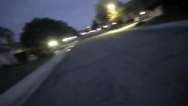 Un policier très patient avec deux chiens errants