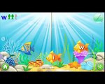 Learn Colors, Numbers and ABCs. ABC Songs for Kids. Alphabet Song. Nursery Rhymes from Dav