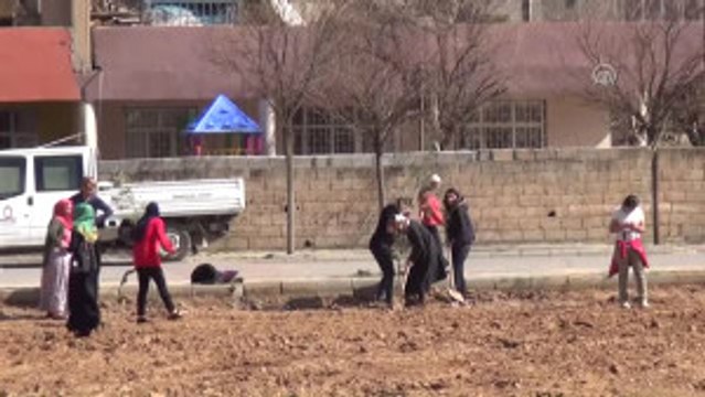 8 Mart Dünya Kadınlar Günü - Kadınlar Fidan Dikti