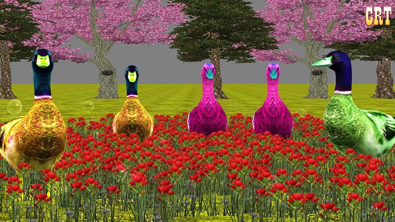 Animals Cartoons Finger Family Children Nursery Rhymes | Animals Finger Family Rhymes for